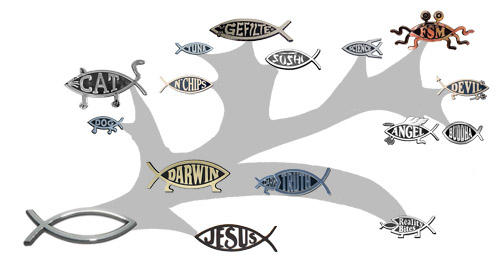taxonomic tree of bumper-sticker fish
